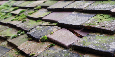 Bwlch Newydd roof repair costs